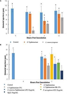 Evasion of Plant Innate Defense Response by Salmonella on Lettuce